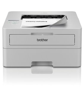 Impresora Láser Monocromo Brother HL-L2865DW WiFi/ Dúplex/ Blanca