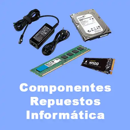 Componentes y repuestos Informática